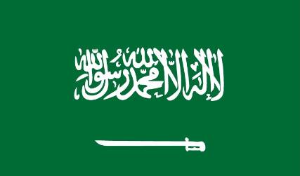 مصدر دبلوماسي لمندب برس: نائب القنصل السعودي التقى بهادي ضمن طاقم السفارة